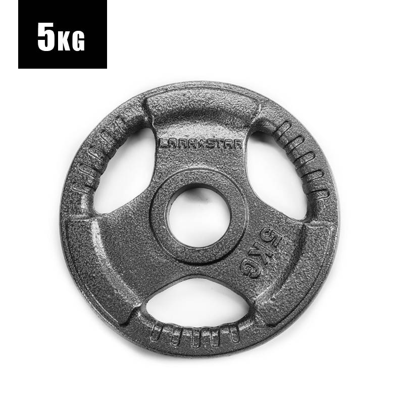 5kg paintd dud bell